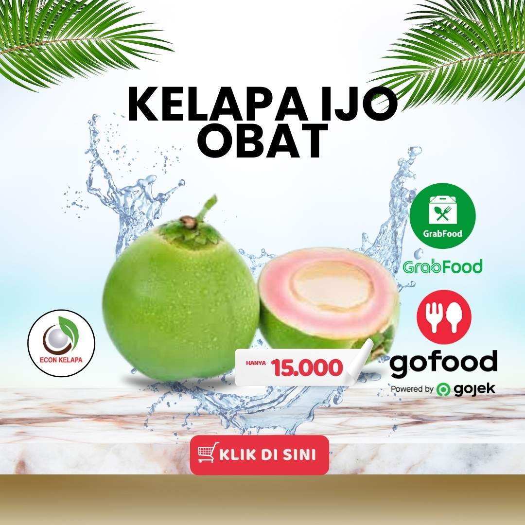 Kelapa ijo murni untuk obat